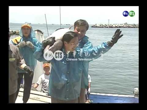 總統賣黑鮪 880萬拍出