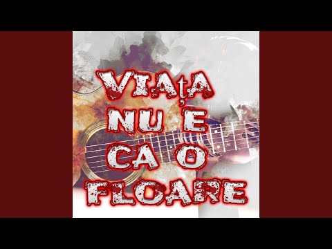 Petrecere colaj hore , sarbe