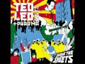 Ted Leo and the Pharmacists - The One Who Got Us Out
