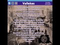 saldakoi-vallekas 