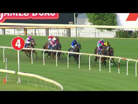 Contenders - Fell Swoop