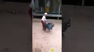 Download lagu Wayang orang lawan kalkun,meme lucu mp3