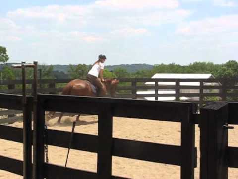 Camilla wishes Teri Happy Birthday