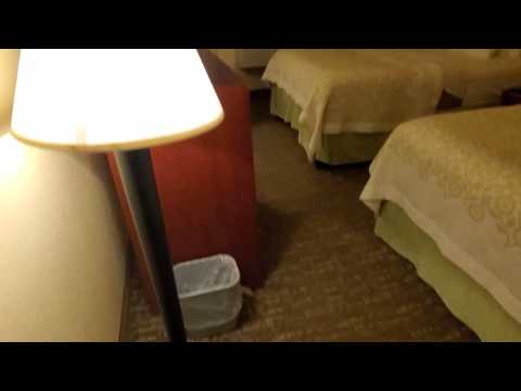 Days Inn Hotel Room Greenfield MA