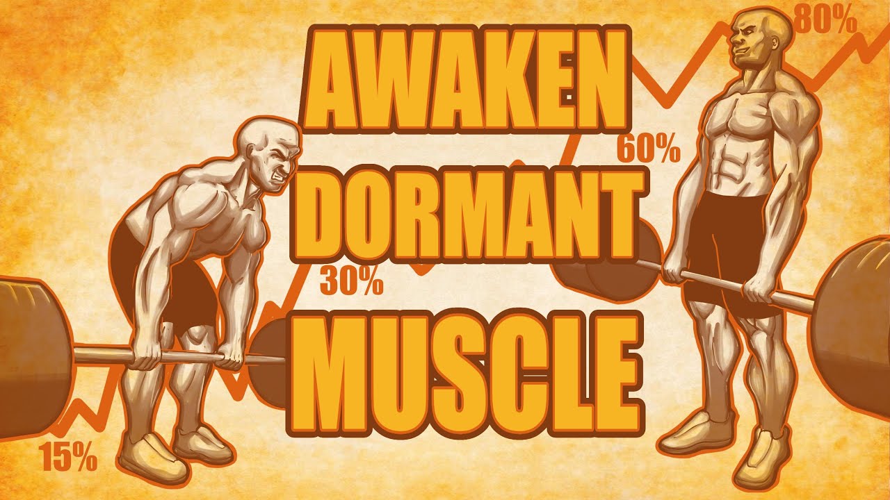 MAXIMIZE YOUR Muscle Fiber Activation!