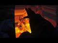 The Forest Campfire VHS