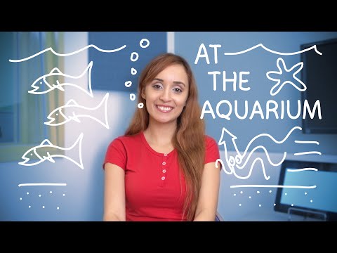 Weekly Brazilian Portuguese Words with Jade - At the Aquarium