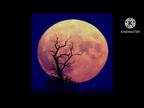 A pyit shi thu lyric