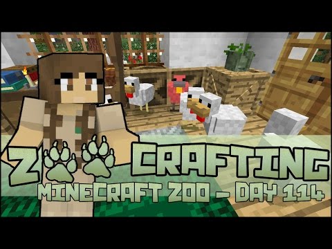 Great Chicken Escape! 🐘 Zoo Crafting: Season 2 - Episode #114