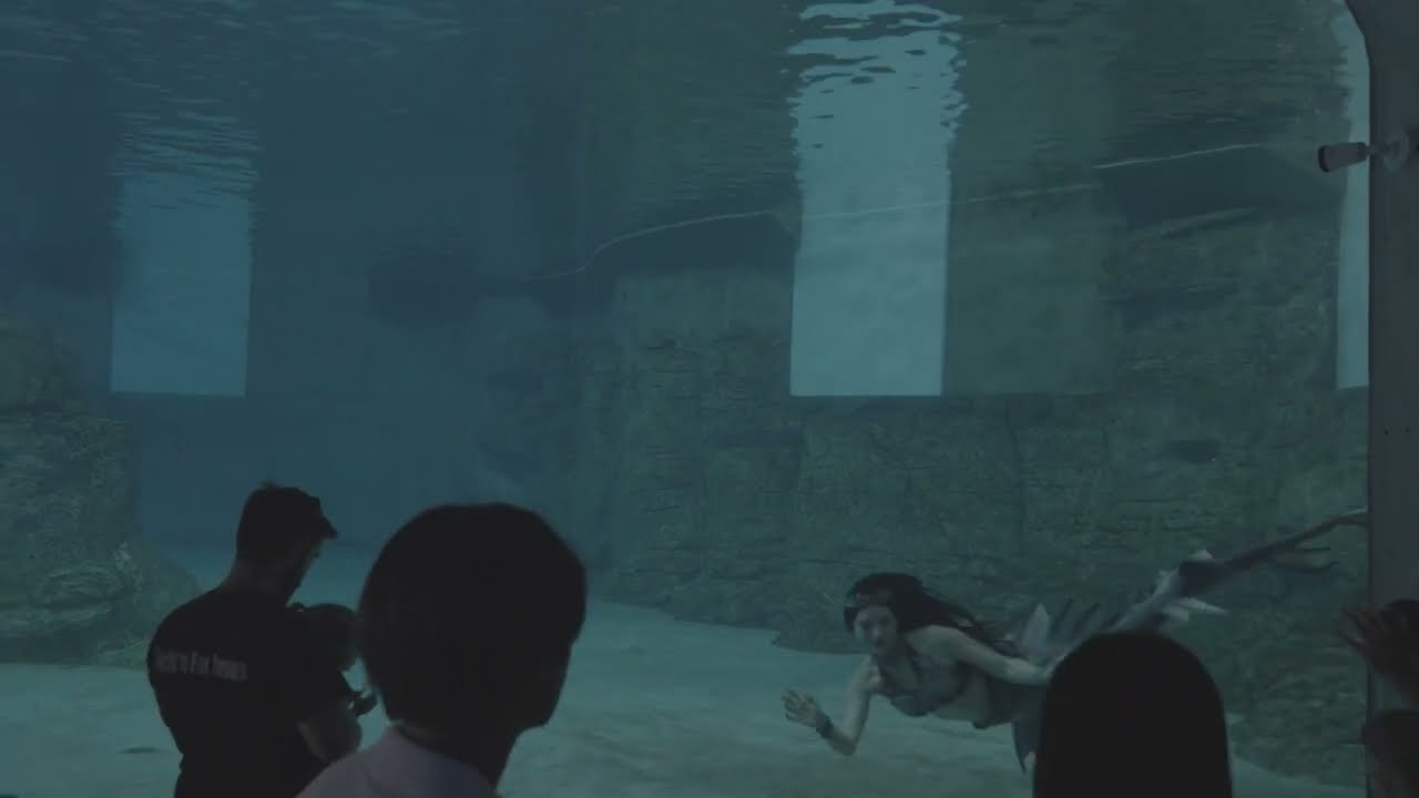 Promotional video thumbnail 1 for Blue Mermaid Designs