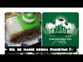 Dil Se Maine Dekha Pakistan 🇵🇰 by Haroon