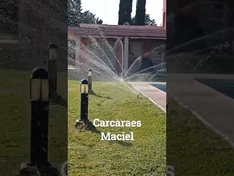 carcaraes Maciel , Santa fe