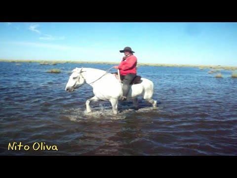 Bañado 2019 "La Cañada" Departamento Mitre - Santiago Del Estero - A La Costa Del Río Utís 🎶🎼🎵♩