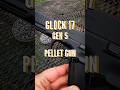 A Glock For Your Backyard