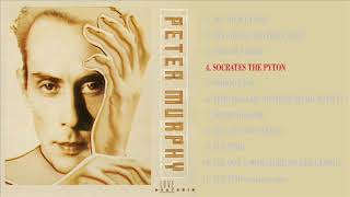 Peter Murphy - Socrates the python