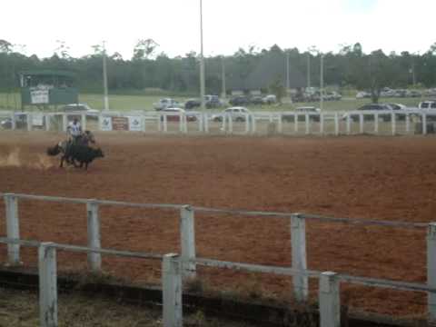 PANETONE DO ITAÓ PELETEADA BRASÍLIA