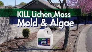 How to KILL Lichen, Moss, Mold & Algae Without a Pressure Washer
