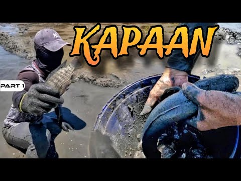 P1 - Kapaan sa Palaisdaan - EP1765