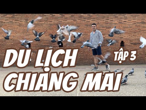 DU LỊCH CHIANG MAI THÁI LAN #3 KHÁM PHÁ 3 QUÁN CAFE SIÊU HOT VÀ CHỢ ĐÊM LỚN NHẤT CHIANG MAI!
