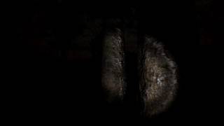 【slenderman実況】メモを求めて森の中を深夜徘徊part2