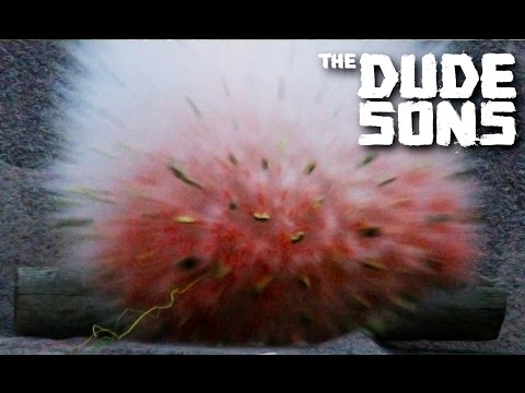 Blowing up stuff in SLOW MOTION! Dynamite vs Everything - Dudesons