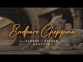 Endharo Cheppina Song Dhanush Idly Kottu Slowed And Reverb