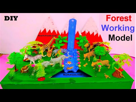 biodiversity model 3d project for science exhibition diy simple and easy steps howtofunda