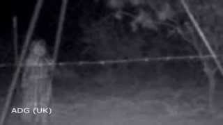 Unexplained Creatures Caught On Trail Cams 2014