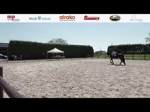 Ibop | Wergea | 1 Mei 2025