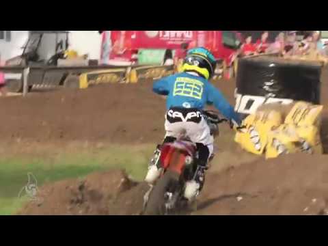 2014 Mini O's Jr. Superman Larry Reyes JR.