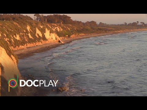 Pacific Dreams | Official Trailer | DocPlay