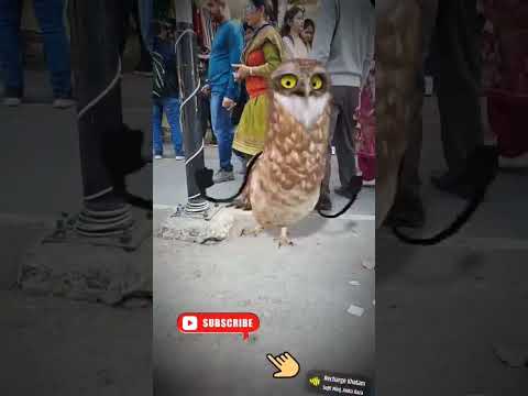 Fun time today #funny #tiktok #viral #funnymoments #disney #youtube #memes #funnyvideo #trending