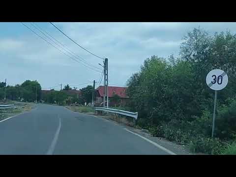 Deplasare de la Gurahonț - Stațiunea Moneasa, jud. Arad