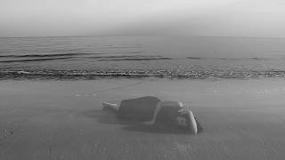 Lorelle Meets The Obsolete — Líneas En Hojas [OFFICIAL VIDEO]