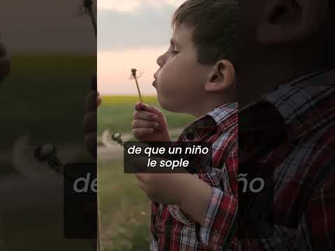 VII Semana de Novela Histórica, 4 de febrero de 2025