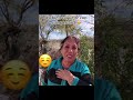 MI TIA CANDE CUANDO LLEGA AL RANCHO CON SUS PESTAÑAS POSTIZAS 😂