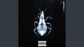 GutsInTheShell Music Video