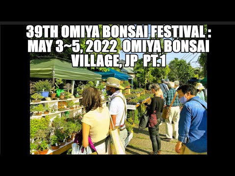 39th OMIYA BONSAI FESTIVAL: May 3~5 , 2022 ・ 第39回大宮盆栽祭り2022　Omiya Bonsai Village, Japan PART ONE