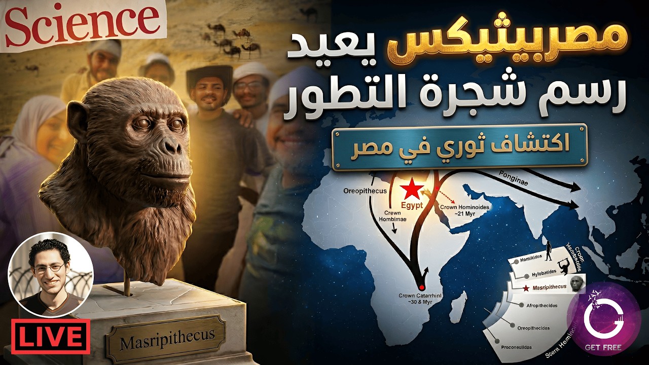 الإنجاز العلمي المصري (مصربيثيكس) | كيف غير مسار فهمنا لتطور أسلاف البشر؟
