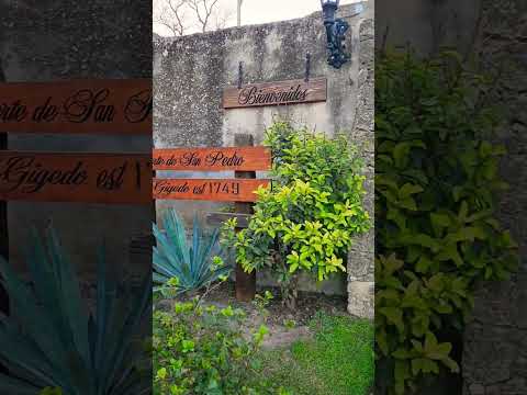 Fuerte de San Pedro de Gigedo en Villa Union #coahuila #travel #historia