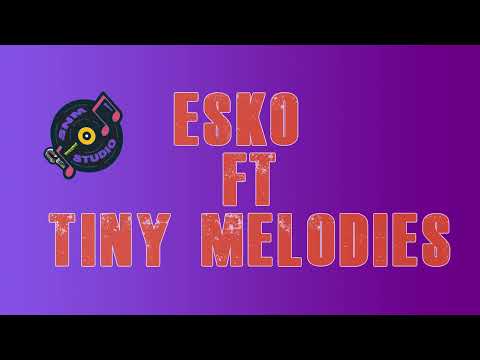 ESKO DA  ARTIST X TINY MELODIES - BAILA MAMI (PRODUCED BY SNM STUDIOS)
