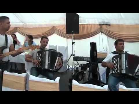 Sasa Dinulovic i Bojan Obradovic novo 2010