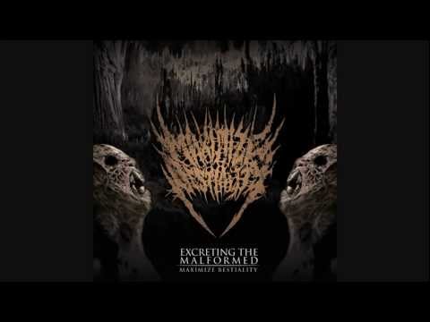 Maximize Bestiality - Ominous Heavy-Weight Cascade