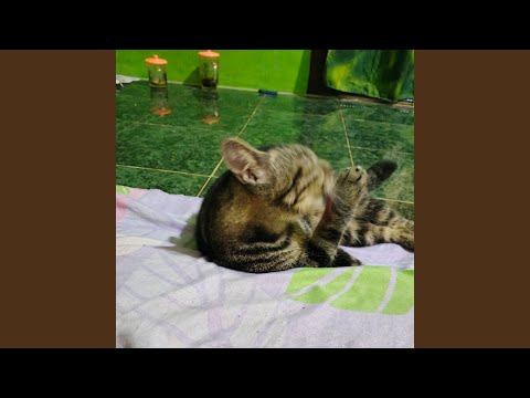 Rindu hatiku karenamu