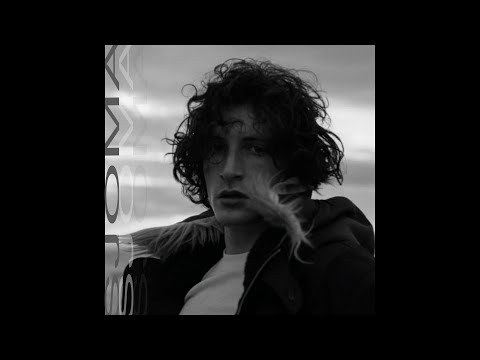 (free) levin liam x trettmann type beat "Richtungsweisend" (prod. Sjoma)