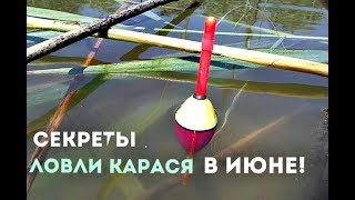 Почему в июне не клюет рыба