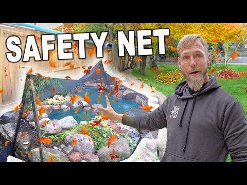 The Benefits Of Fall Netting – WHY Every Pond Needs One