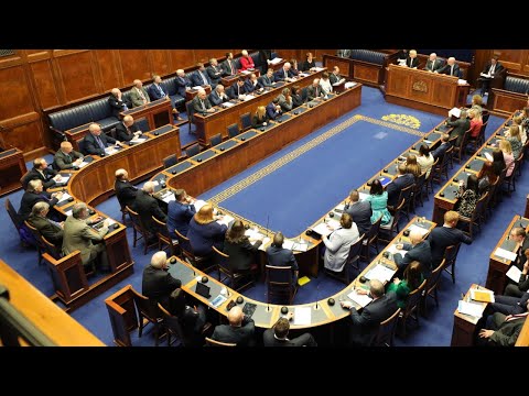 Plenary Session - 24 November 2020