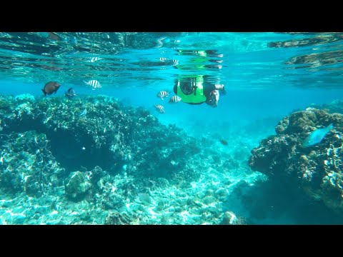 image-Can you snorkel off the beach in Roatan?