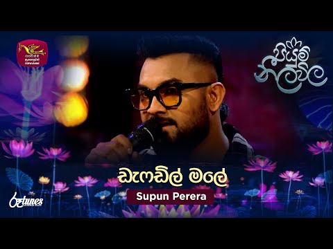 Daffodil male | ඩැෆඩිල් මලේ | Supun Perera | Piyum Neela Vila | Roo Tunes